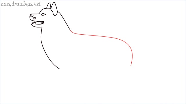 How to draw a husky step (7)