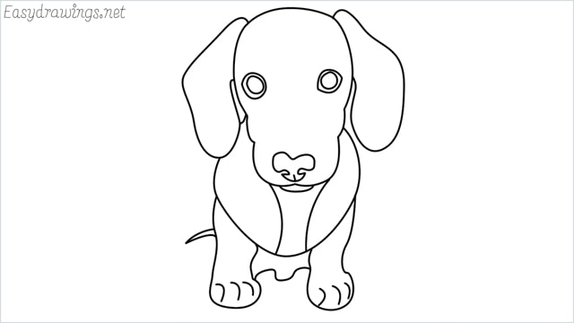 How to draw a puppy step by step
