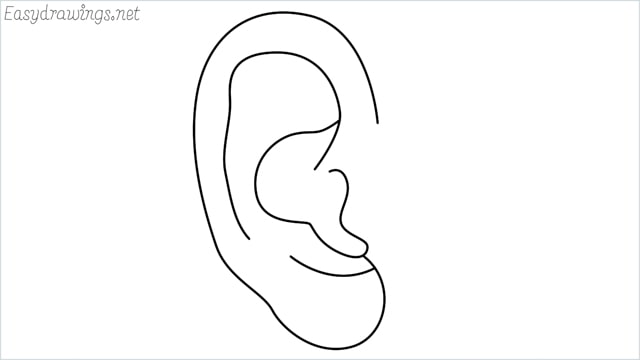 How to draw an Ear step by step