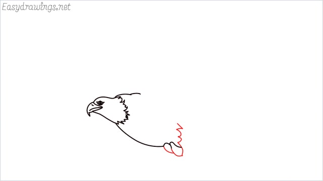 How to draw an eagle flying step (7)