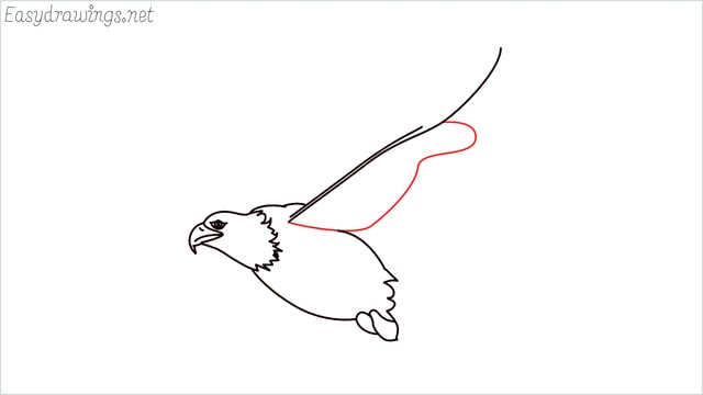 How To Draw An Eagle Flying Step by Step for Beginners