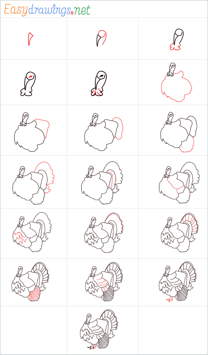 How To Draw A Turkey Easy Step By Step For Beginners - iridescent-color