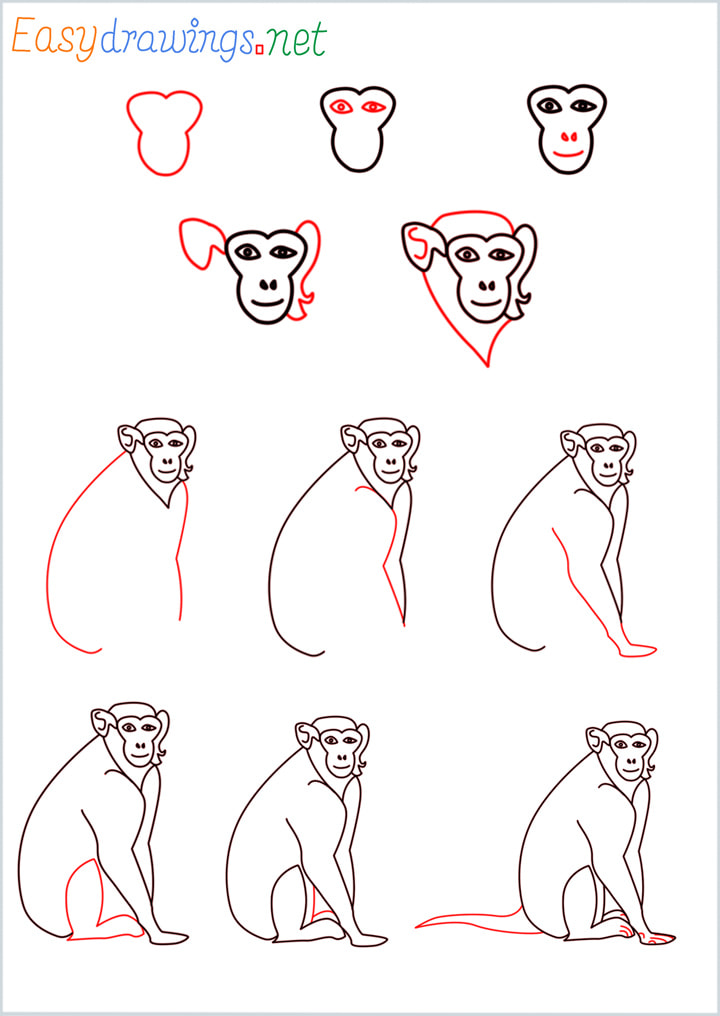 Overview of Monkey drawing