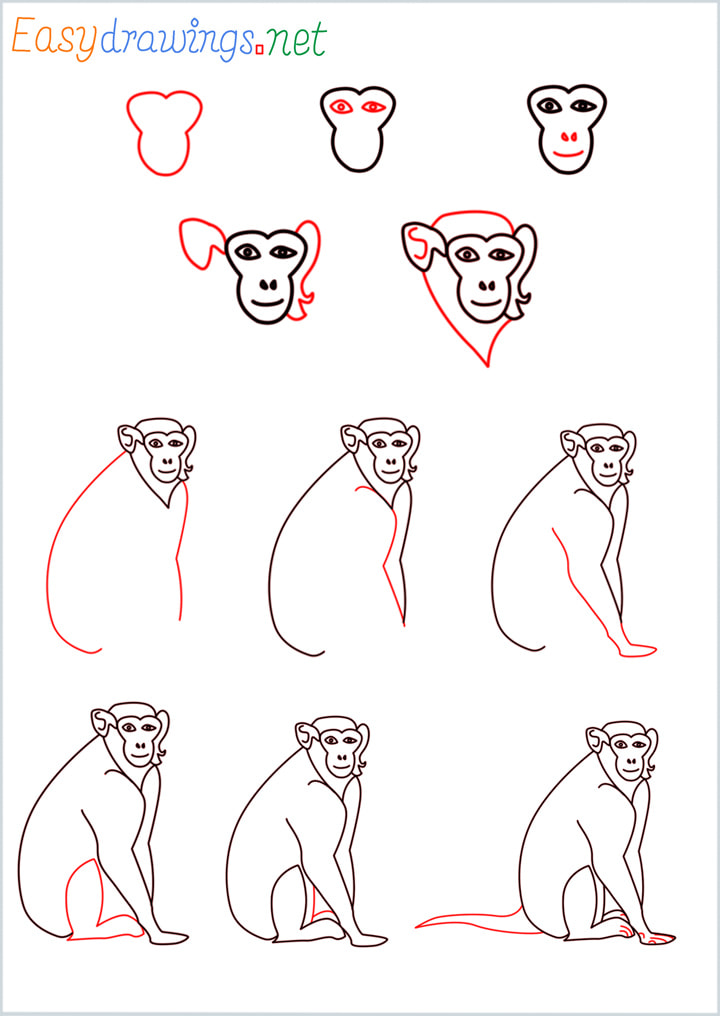 How to Draw a Cute Monkey - Easy Drawing Tutorial For Kids