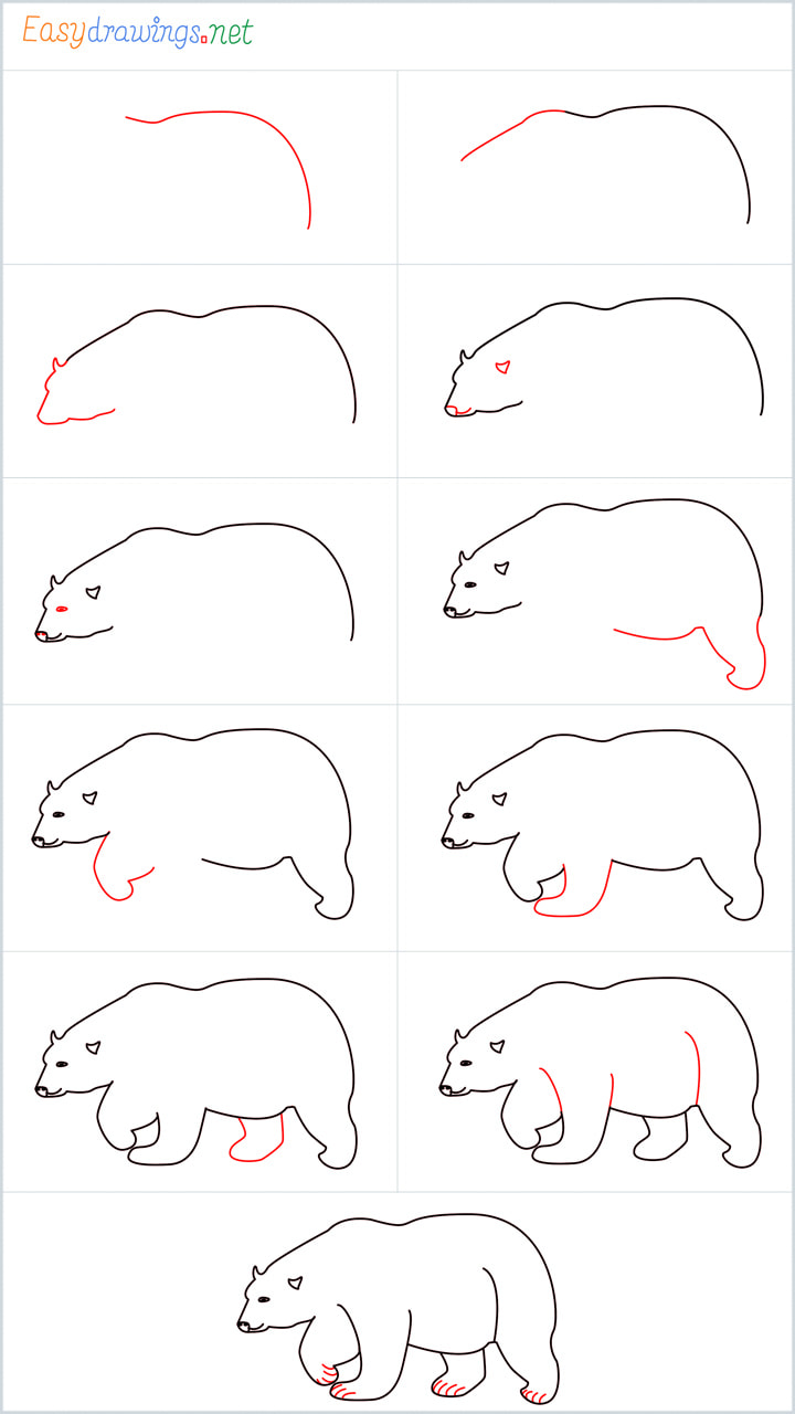all outline for Polar bear drawing example