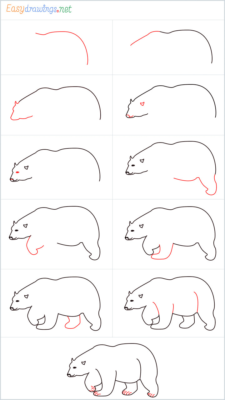 How to Draw a Bear Head - Easy Drawing Art