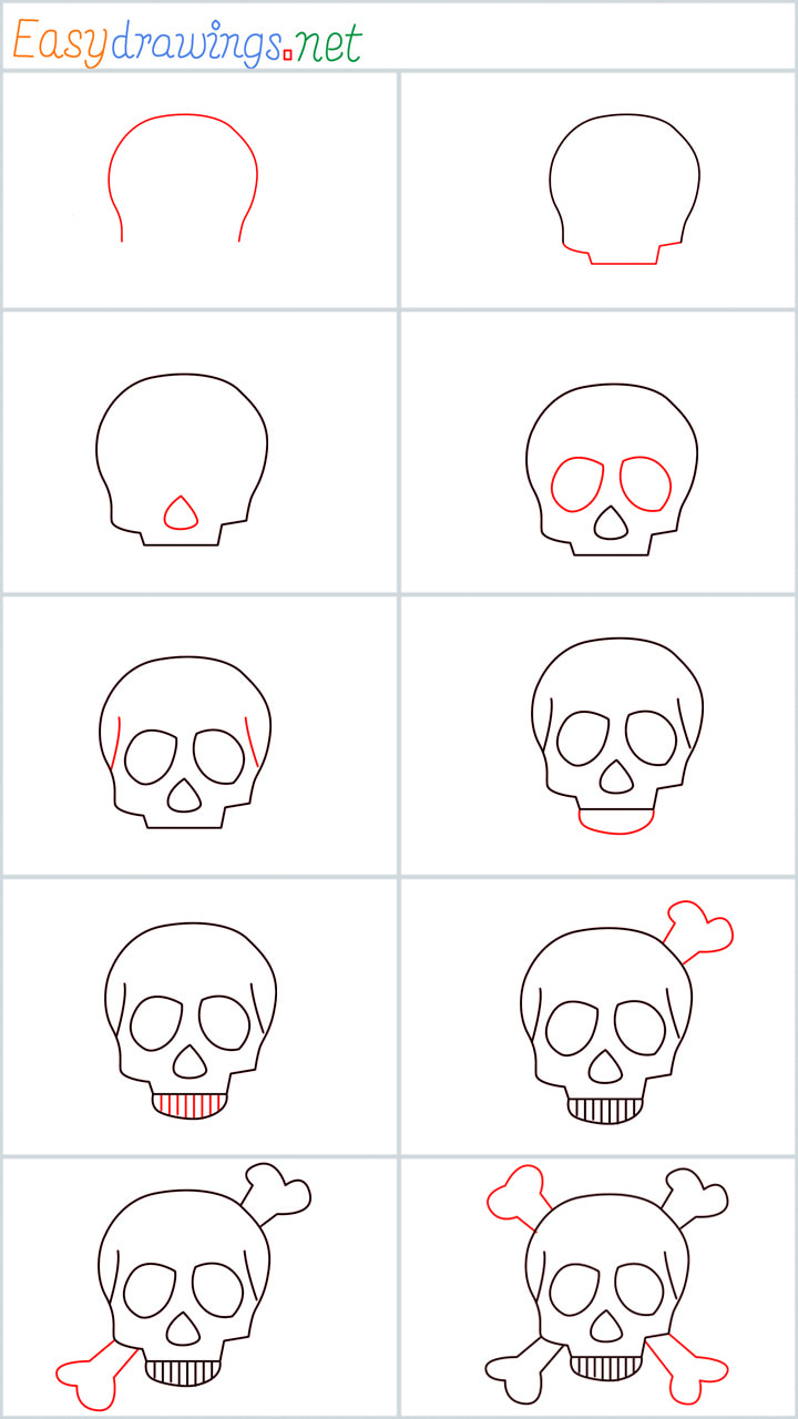 all outline for Skull drawing example