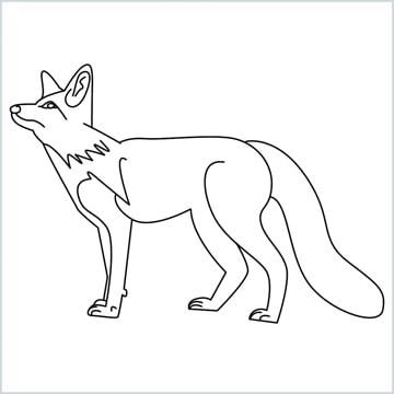 How To Draw A Fox Step by Step Easy - [16 Easy Phase]