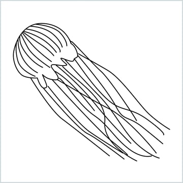 draw a jellyfish