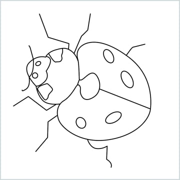 draw a ladybug