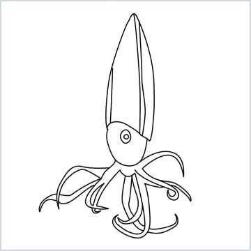 draw a squid