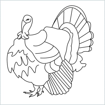 draw a turkey