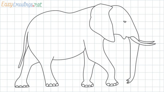 How to draw a elephant step by step for beginners