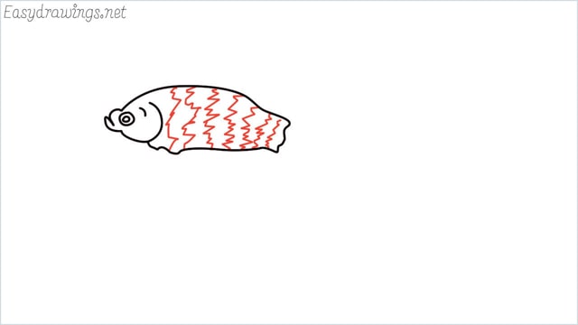 how to draw a betta fish step (6)