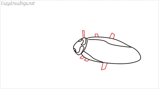 how to draw a cockroach step (6)