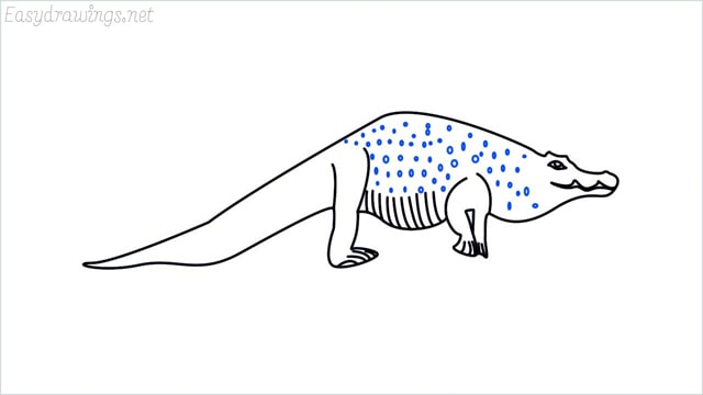 how to draw a crocodile step (12)