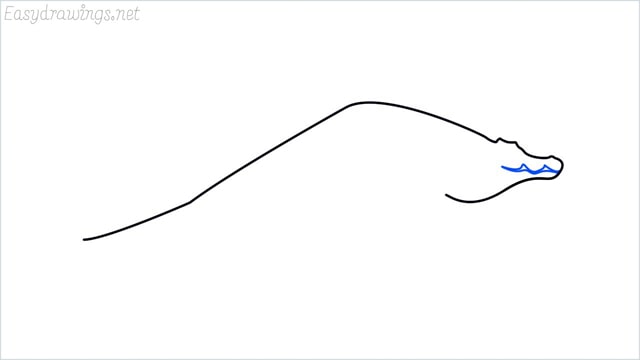 how to draw a crocodile step (4)
