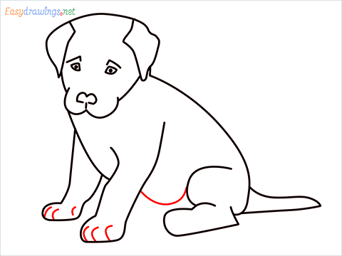 how to draw a cute dog sitting step (11)