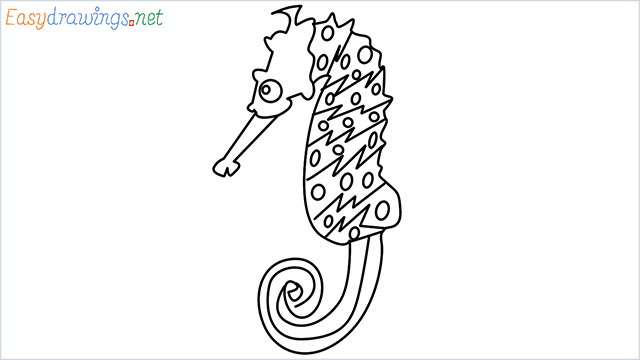 how to draw a cute seahorse Step by Step for Beginners