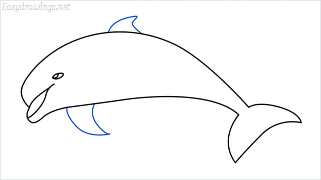 how to draw a dolphin step (6)