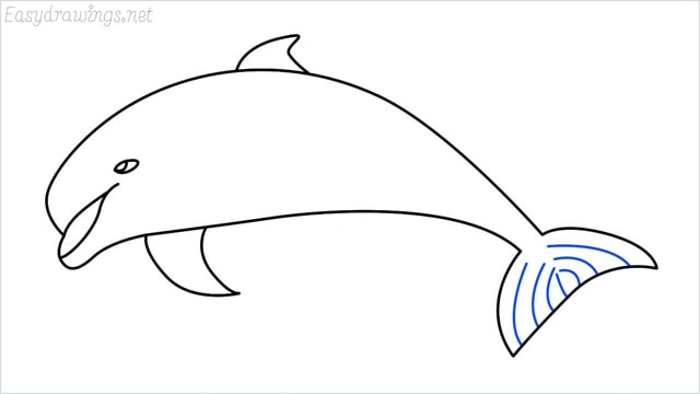 how to draw a dolphin step (7)