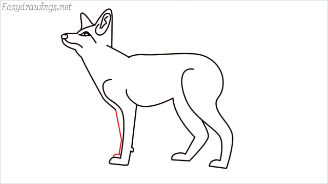 how to draw a fox step (13)