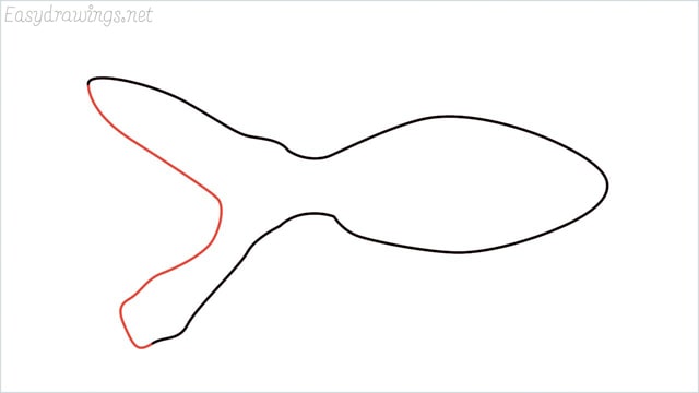 how to draw a goldfish step (3)