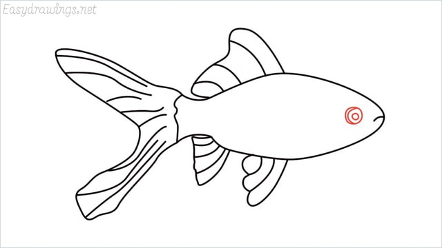 how to draw a goldfish step (8)