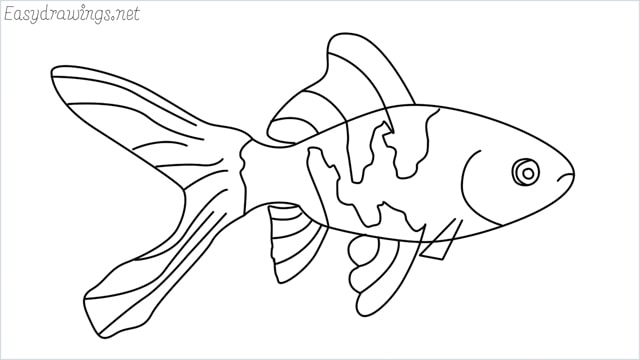 How to Draw a Goldfish  StepbyStep Pet Fish Sketch