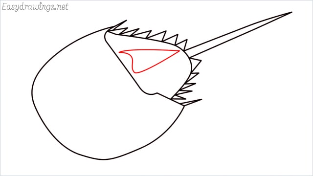 how to draw a horseshoe crab step (7)