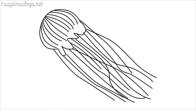 how to draw a jellyfish