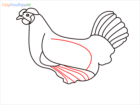 how to draw a mother hen Step (11)