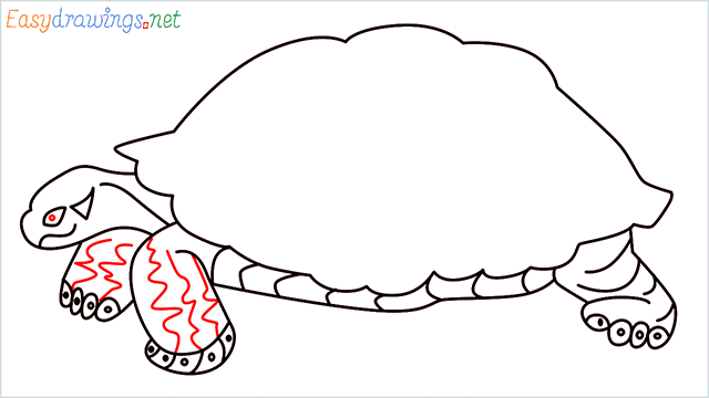 how to draw a sea turtle step (10)