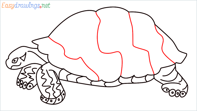 how to draw a sea turtle step (11)