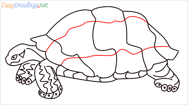 how to draw a sea turtle step (12)