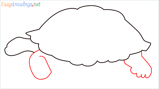 how to draw a sea turtle step (4)