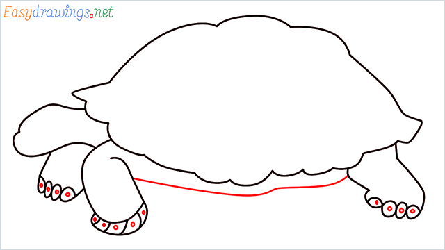 how to draw a sea turtle step (7)