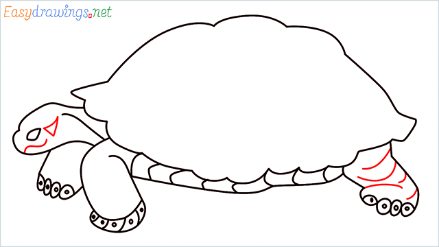 how to draw a sea turtle step (9)