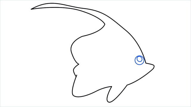how to draw a spadefish step (6)