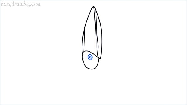 how to draw a squid step (5)