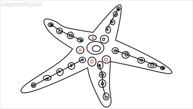 how to draw a starfish step (10)