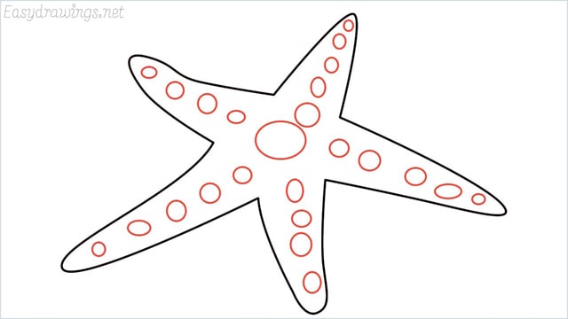 how to draw a starfish step (6)