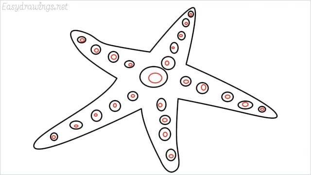 how to draw a starfish step (7)