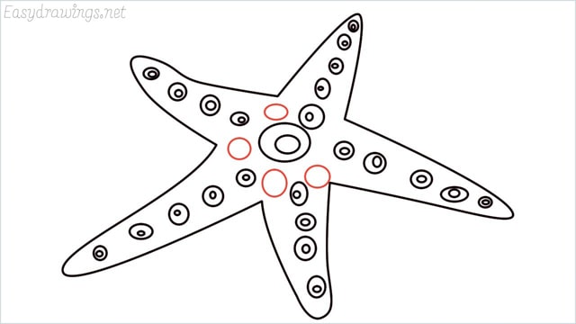 how to draw a starfish step (8)