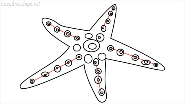 how to draw a starfish step (9)