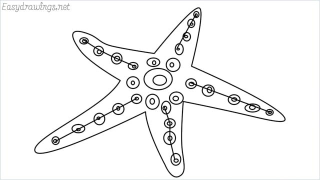 how to draw a starfish