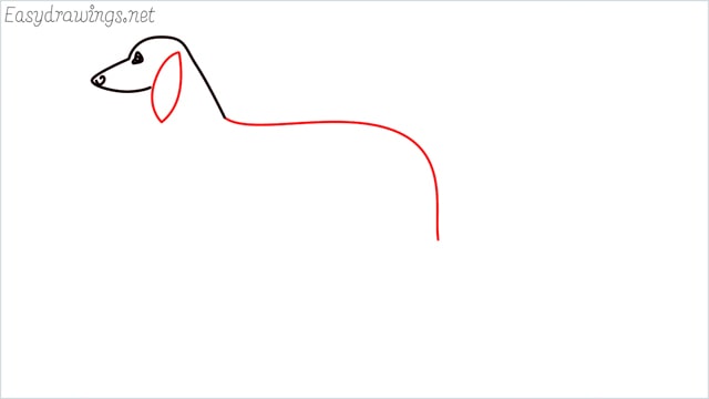 how to draw a suluki dog step (4)