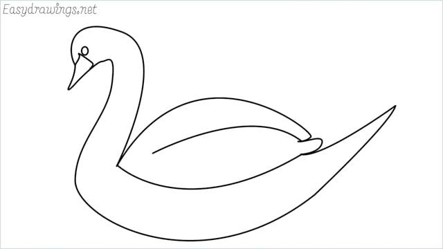 how to draw a swimming swan