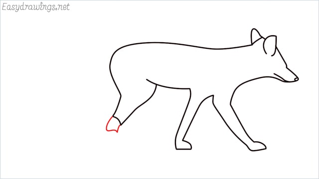 how to draw a wolf step (9)