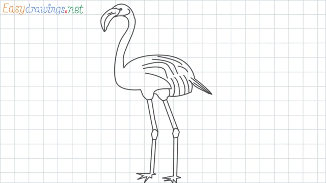 Flamingo grid line drawing